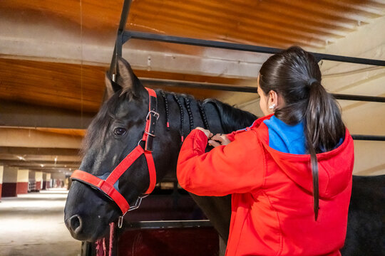 Young woman combing horse in stable setting