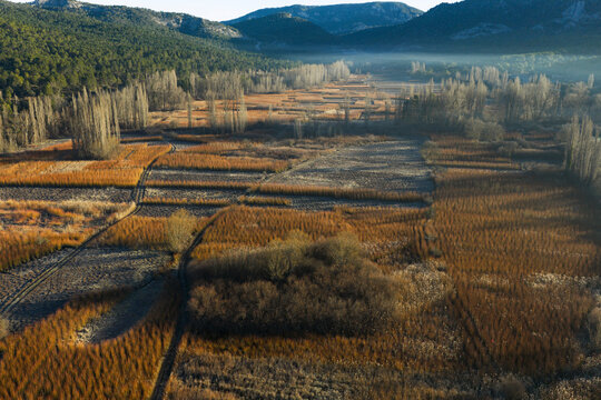 Aerial view of wicker fields in Cuenca valley at dawn