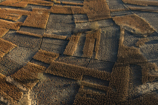 Wide aerial landscape of wicker cultivation in Cuenca