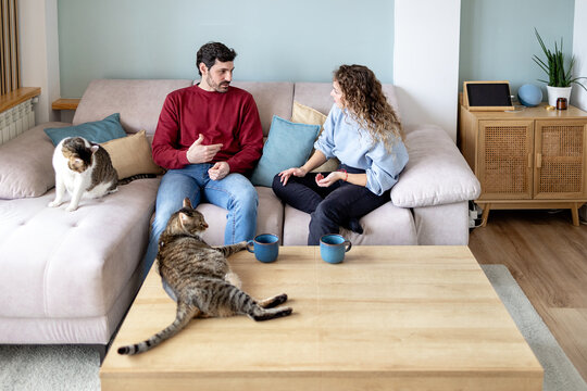 Friends having a fun, cozy chat with happy vibes