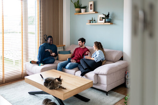 Friends enjoying quality time in a cozy living room
