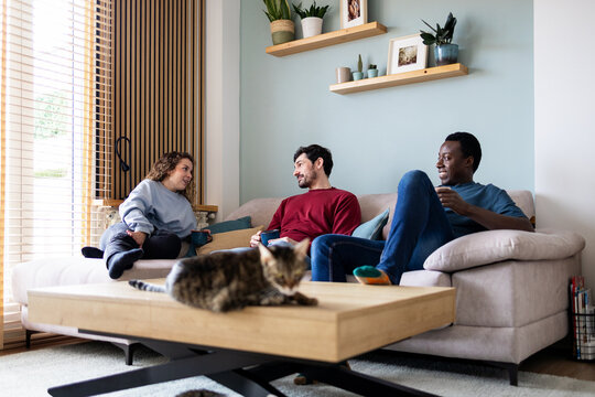 Friends enjoying a cheerful living room chat together
