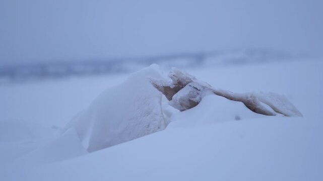 A broken ice floe on the shore. A large, broken block of ice covered with snow. High quality FullHD footage