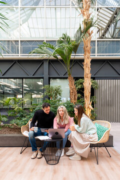 Coworking team meeting in green office lounge with laptop
