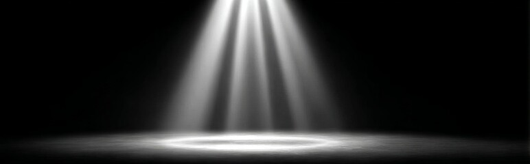 Obraz premium Empty space of Studio dark room black concrete wall and spotlight with concrete floor for showing product. A dramatic spotlight shining down on a dark stage creating a focused