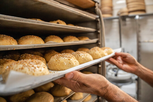 Fresh artisan bakery bread roll tray in oven rack