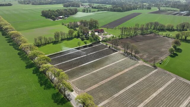 aerial footage of a sprinkler system creating a nice rainbow at a tree nursery