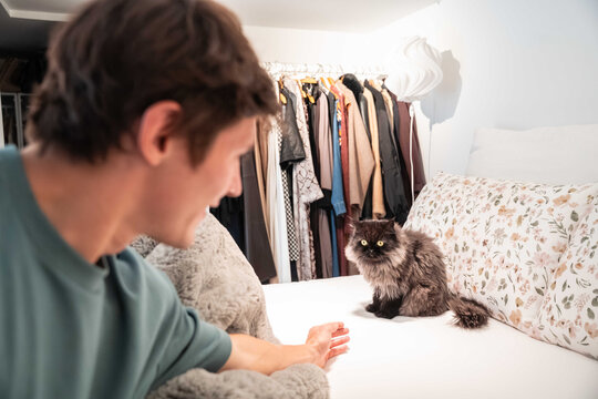 Young man reaching toward fluffy cat on bed at home