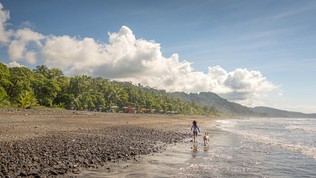 Tropical Costa Rica beach walk at sunrise with dog