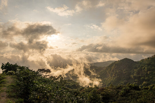 Misty cloud forest sunrise over Costa Rica mountains
