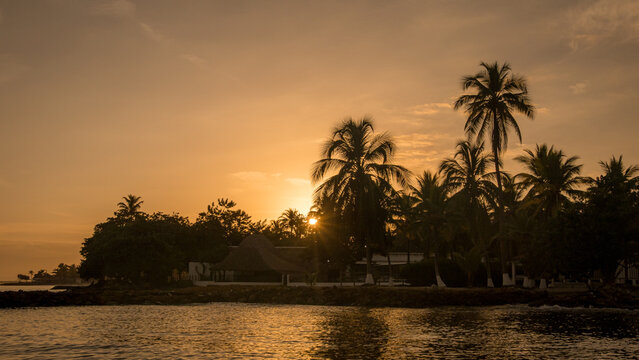 Tropical sunset over palm-lined coast in Costa Rica