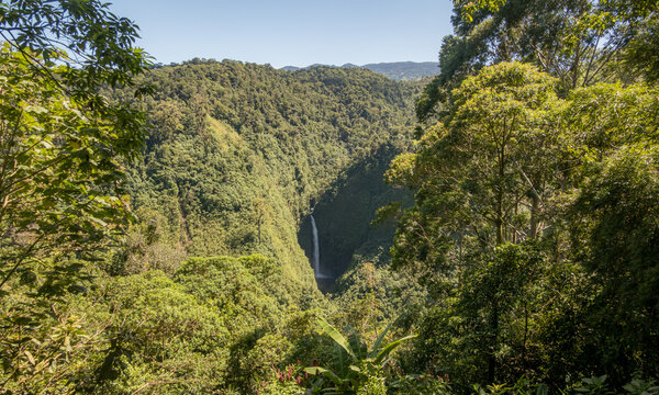 San Fernando Waterfall in Costa Rica rainforest valley