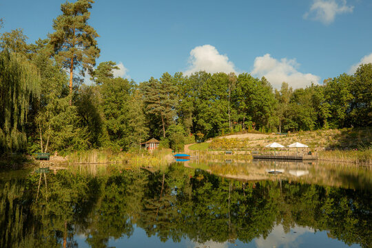 Tranquil forest lake with reflections and sunny sky