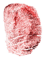 Single bloody fingerprint isolated on a white background, top view. Red ink fingerprint. Halloween.