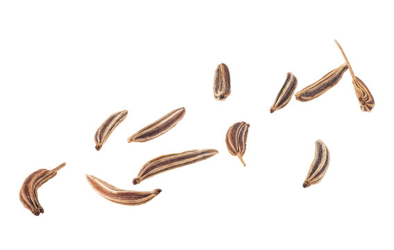 Group of dried cumin seeds isolated on a white background, macro. Caraway seeds.