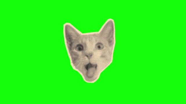 Funny Pop Art Talking Cat Head with Open Mouth on Green Screen Chroma Key for Meme and Comedy Videos