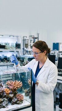 Female marine biologist in a lab coat using a pipette to conduct research on coral reefs in a laboratory aquarium