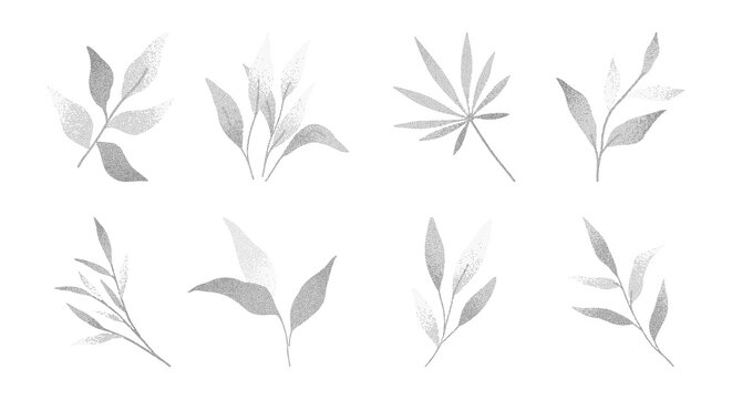 Refined foliage in subtle pointillism stipple effect.Transparent botanical branches and leaves with gentle fade.Minimal floral elements for prints,wedding invitations,branding,packaging and patterns.