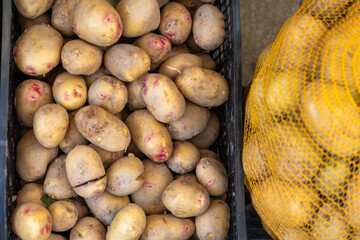 Fresh raw potatoes in crate and mesh bag © Azulblue