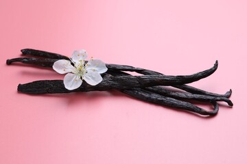 Obraz premium Aromatic vanilla pods and flower bud on pink background, closeup