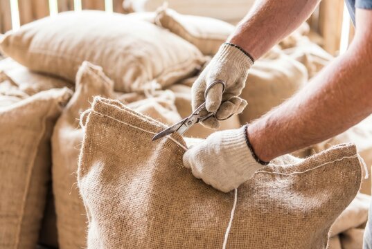 Worker wearing fabric gloves using metal scissors to cut the string on a large burlap sack