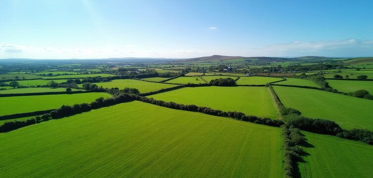Vast green fields divided by hedges from aerial view. Lush pastures stretch to horizon under clear blue sky. Rural Ireland landscape shows neat farm plots.