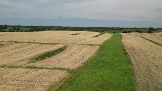 Rows of cover crop that are ready to be plowed into the farm field in the sprint.  4k, drone, flying
