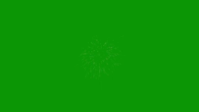 Colorful fireworks display, glowing sparkle explosion, abstract light burst, isolated alpha channel ready, celebration festival effect, shiny particles firework show,green background 4k loop