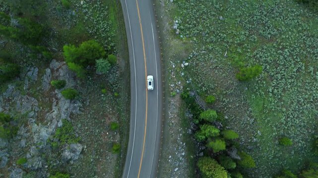 Aerial footage of Beartooth Highway in Montana captures white car navigating winding mountain road through dense evergreen forest. Drone view shows scenic wilderness landscape.