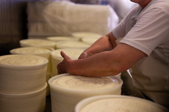 Cheesemaker in artisan dairy working fresh cheese wheels in basket moulds