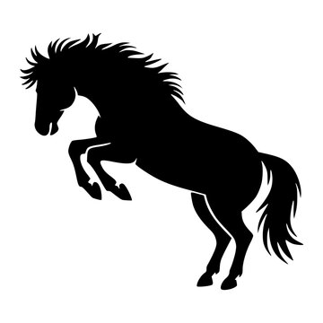 Jumping Horse