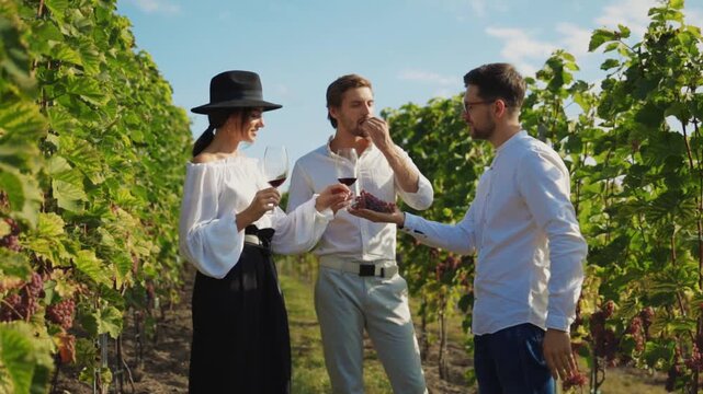 Experience an Elegant Wine Tasting Event in the Beautiful Vineyard This Afternoon