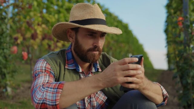A Farmer Using a Smartphone in a Vineyard, Embracing Modern Technology for Agriculture