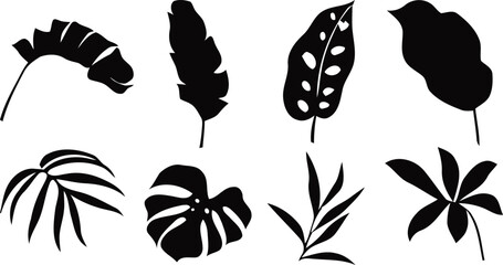 Tropical leaf silhouettes a botanical study in black and white © Afsana