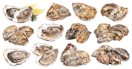 Fresh oysters isolated on white, set. Open and closed © New Africa