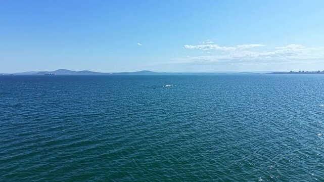Water stretches far into the distance under a clear blue sky. Small waves create ripples on the surface as the sun shines brightly. Mountains are visible in the background.