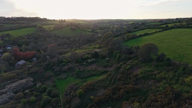 Aerial drone footage of Coosebean Woodland in Truro, Cornwall, showcasing dense trees, lush greenery, and peaceful natural surroundings