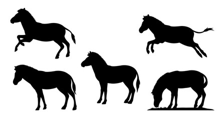 Obraz premium Silhouettes of animals in the savannah. African zebra. Set of different black isolated silhouettes of horses . African landscape and tropical background design element. Vector illustration