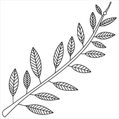 Obraz premium Elegant branch with opposite arranged laurel leaves