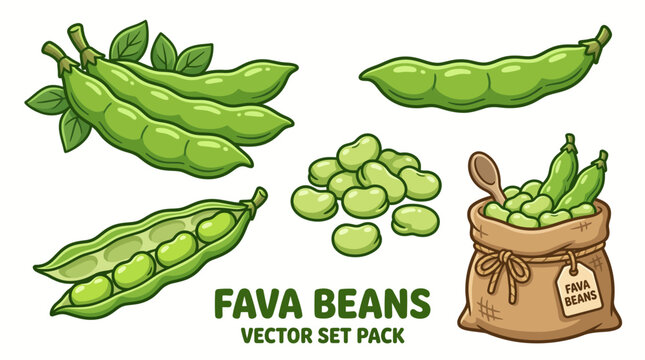 Fava Beans Vector Illustration Set with Fresh Broad Bean Pods and Seeds