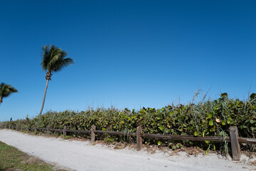 The path along the Jupiter Beach in Florida on a beautiful and warm winter afternoon © Jorge Moro
