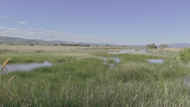 Parque Natural del Prat de Cabanes-Torreblanca