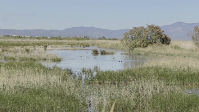Parque Natural del Prat de Cabanes-Torreblanca