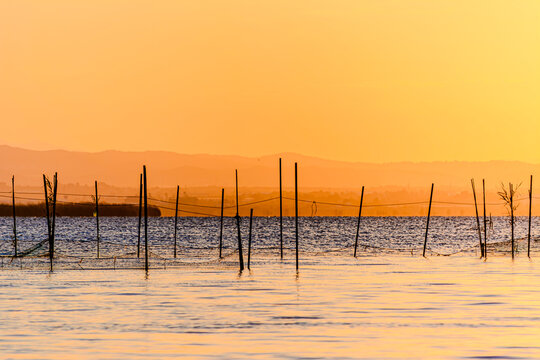 Precioso recorrido en barca en la albufera de Valencia con el atardecer de fondo	