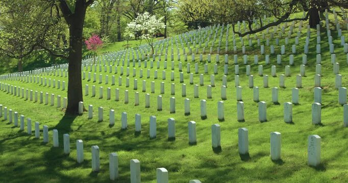 Rows of White Headstones in Arlington National Cemetery