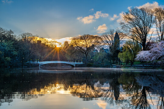 Bow Bridge at sunrise in Central Park, New York City, with spring cherry blossoms, sun rays through bare trees, and a mirror reflection on the calm waters of The Lake.