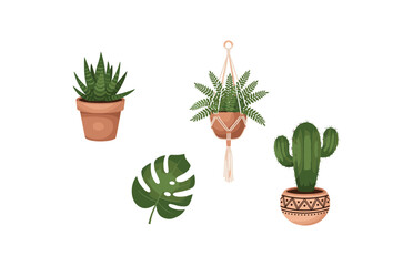 Fototapeta premium Watercolor Illustration Set of Potted Succulents and Tropical Monstera Leaf.