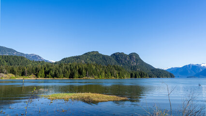 Obraz premium Tranquil loop - Pitt Lake and Swan Dike in Pitt Meadows, BC Canada