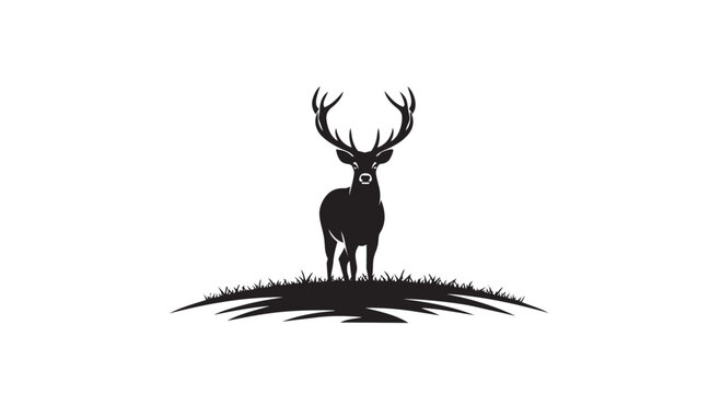 Deer stag with large antlers standing on a hill