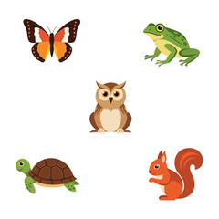 Obraz premium Cute Woodland Creatures Collection: Owl, Butterfly, Frog, Squirrel, Turtle